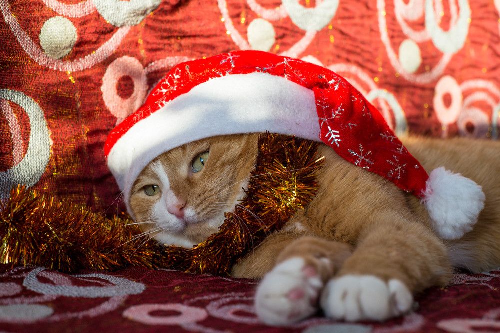 Photograph by Ирина