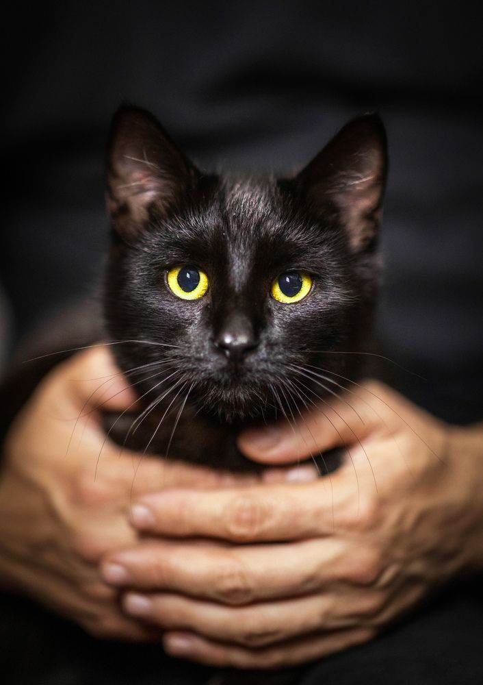 Фотография автора Ioana Crisan