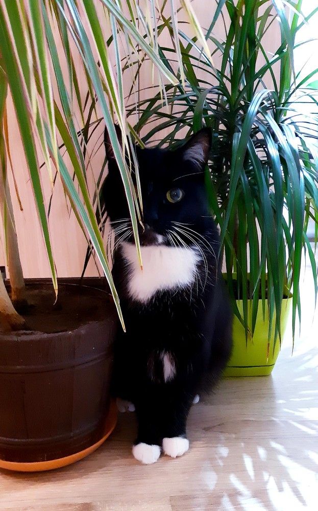 Фотография автора Ирина Лукьянчик