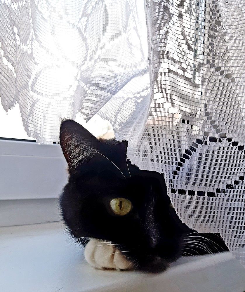 Фотография автора Ирина Лукьянчик