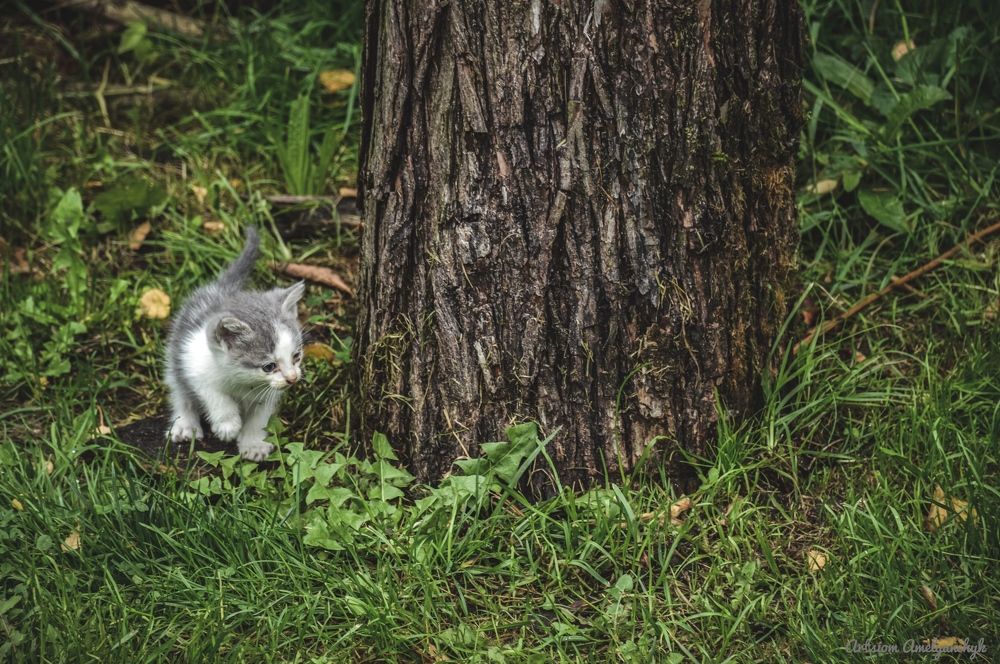 Photograph by Артём Амельянчик