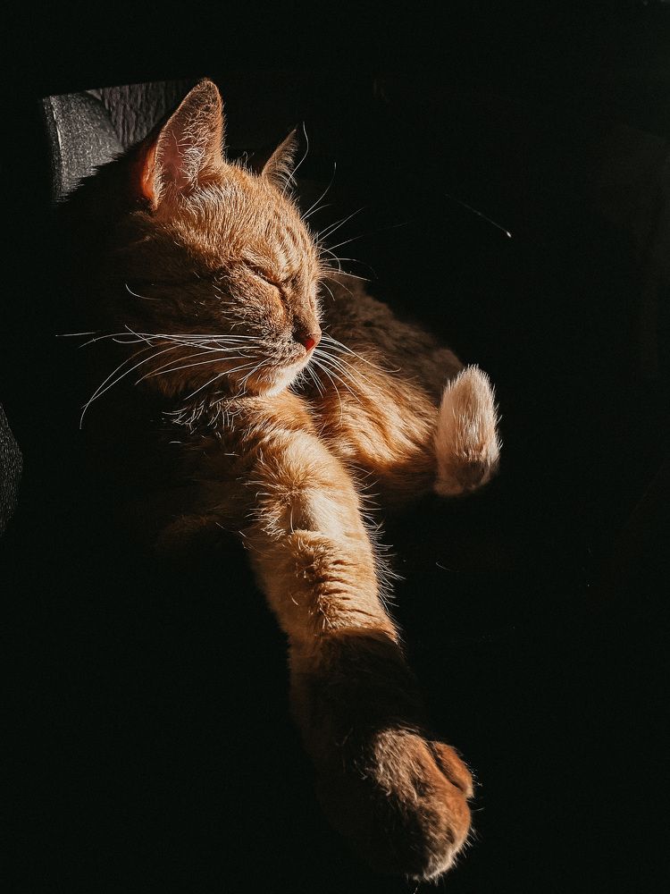 Фотография автора Oxana Yurasova