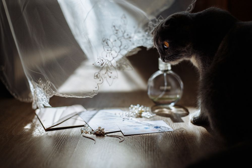 Photograph by Полина Никитина