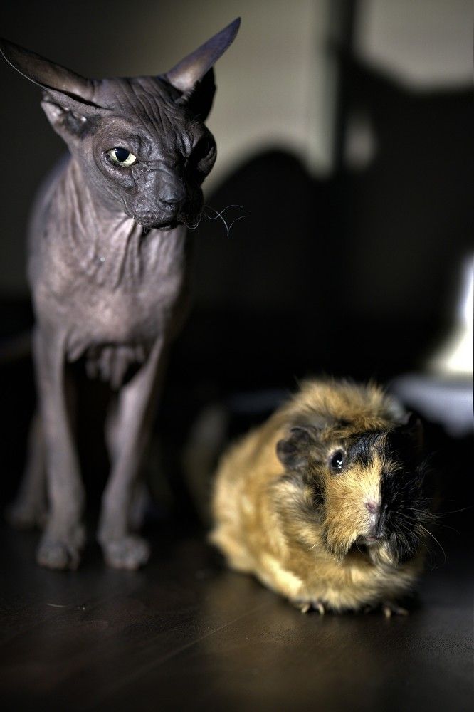 Photograph by Евгения Казакова