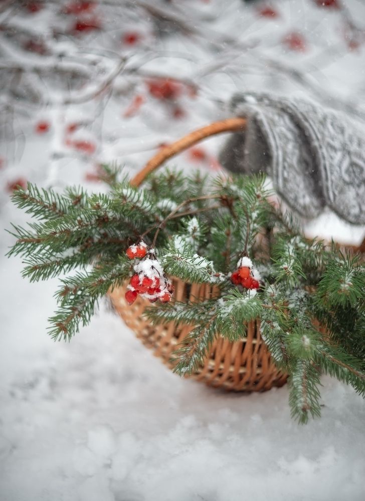 Photograph by Елена Косинова