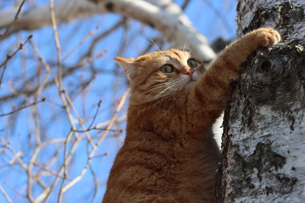 Photograph by Ирина Лисовец