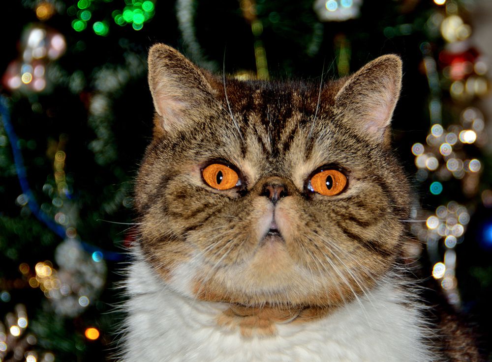 Photograph by Александр Зуев