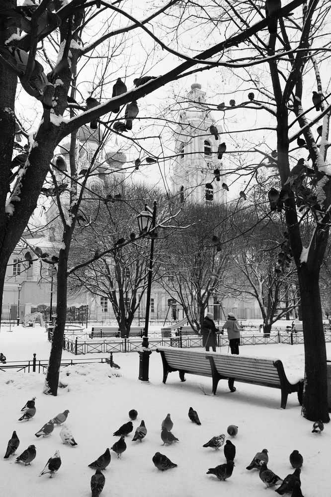 Photograph by Светлана Воробьёва