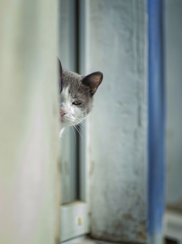 Photograph by Кулаков Юрий