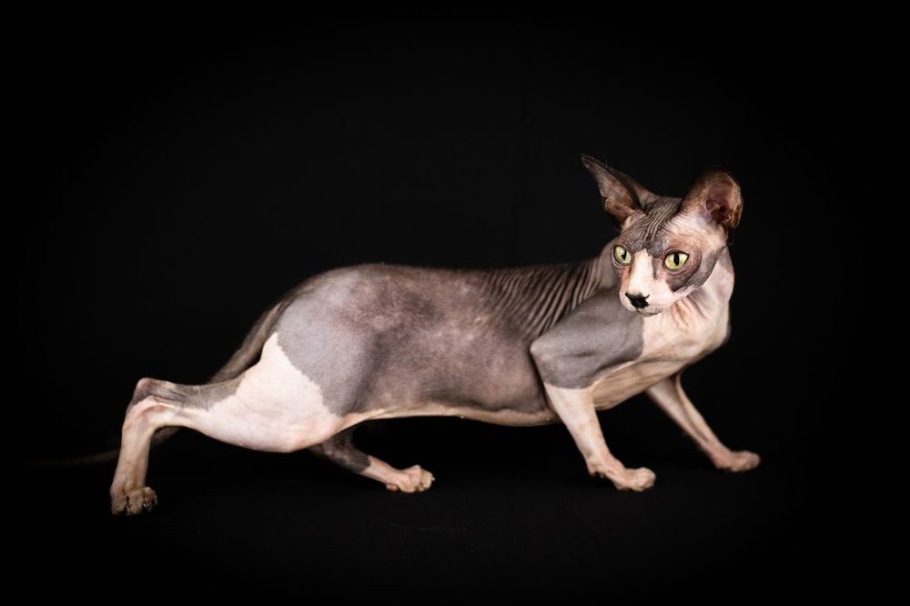 Photograph by Алена Райфутдинова