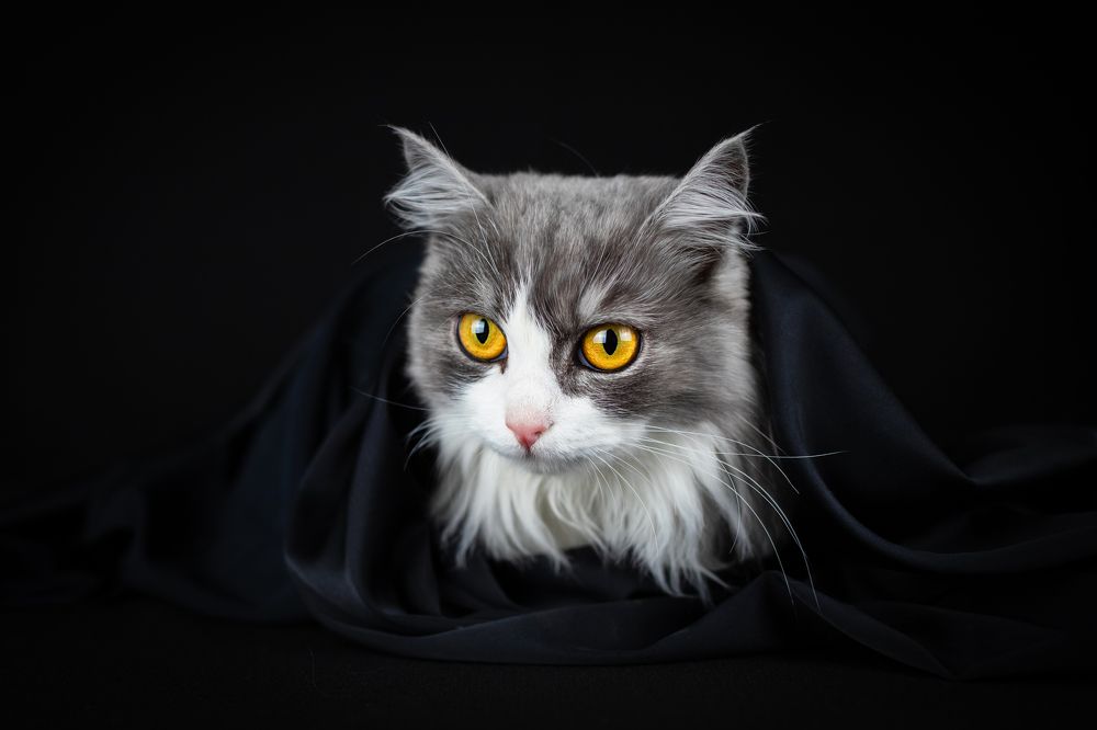 Photograph by Алена Райфутдинова