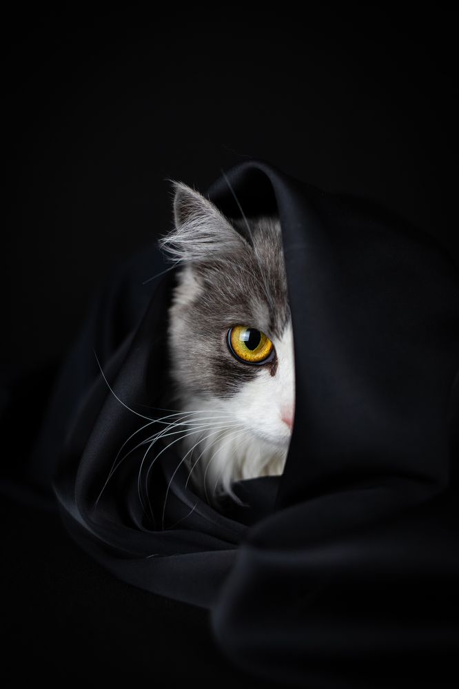 Photograph by Алена Райфутдинова