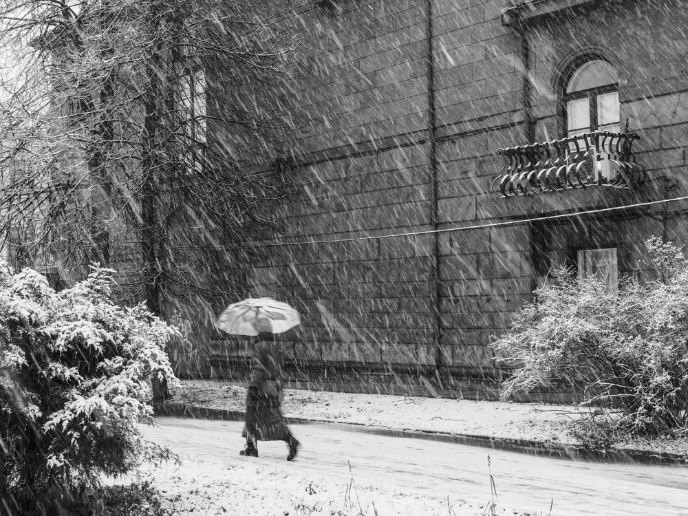 Первый снегопад