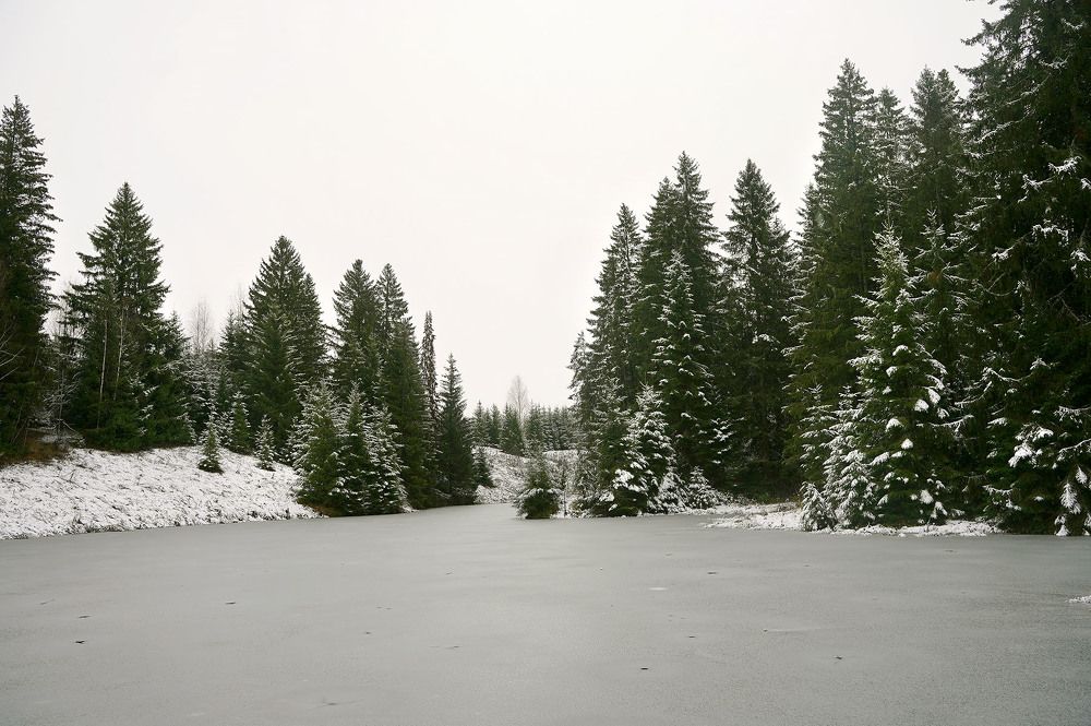 Пейзаж на реке