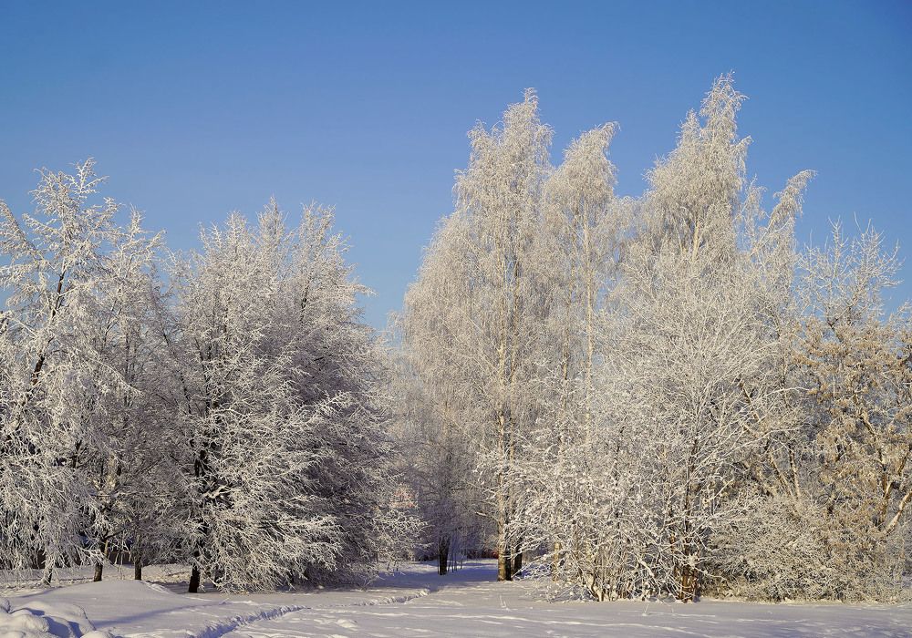 Снежный пейзаж