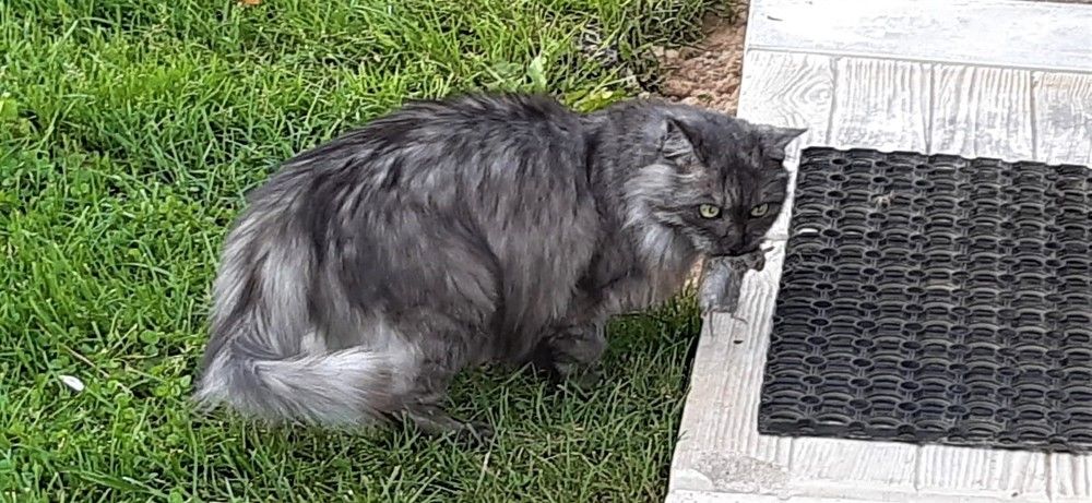 Photograph by Михаил Трусов