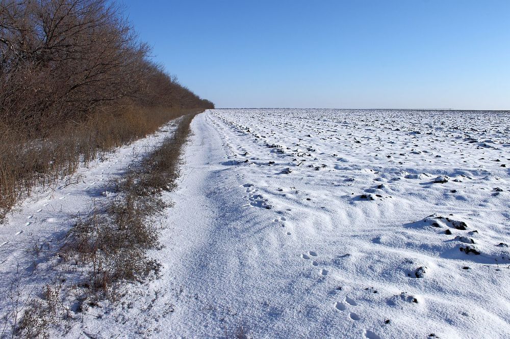 Photograph by Юрий Варюхин