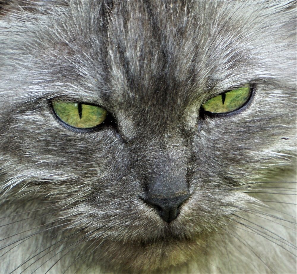 Photograph by Михаил Трусов