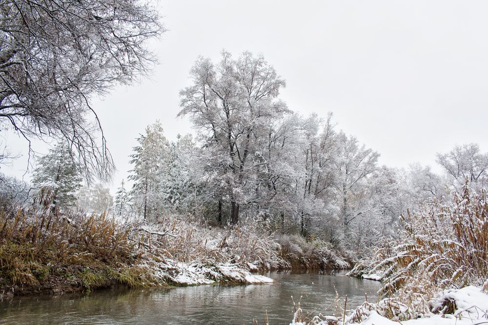 Photograph by Александр Лунин
