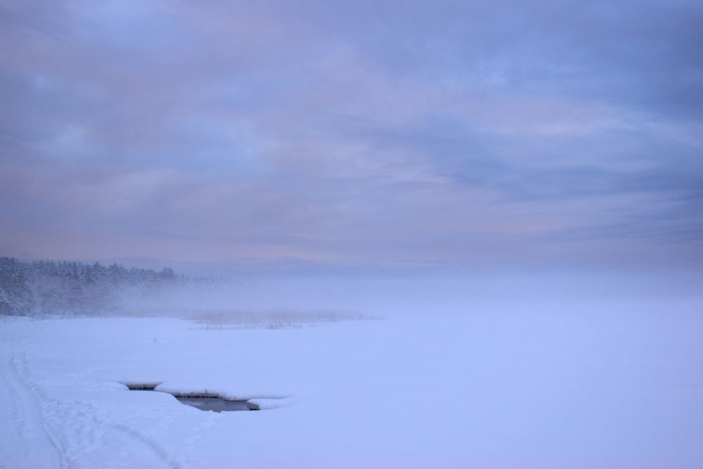 Photograph by Елена Амозова