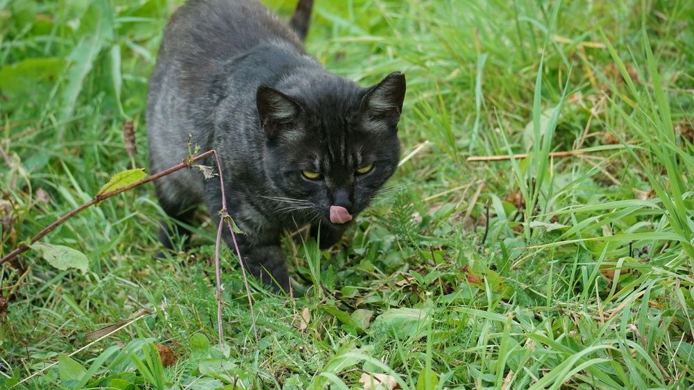 Photograph by Михаил Трусов