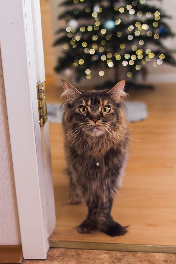 Photograph by Наталья Кузнецова