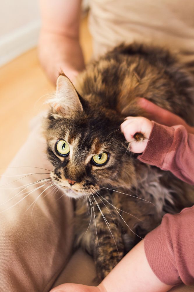 Photograph by Наталья Кузнецова