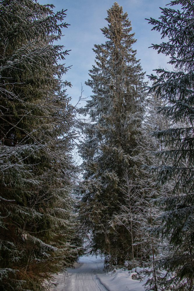 Photograph by Владимир Копков