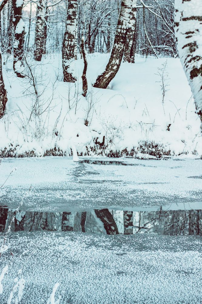 Photograph by Полина Каменкова