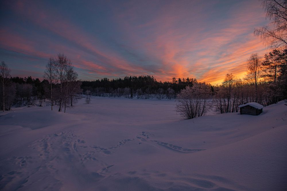 морозный рассвет.