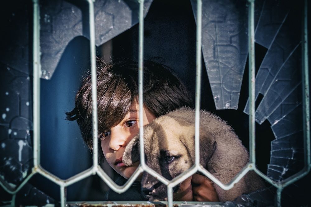 Photograph by DAMOUN POURNEMATI