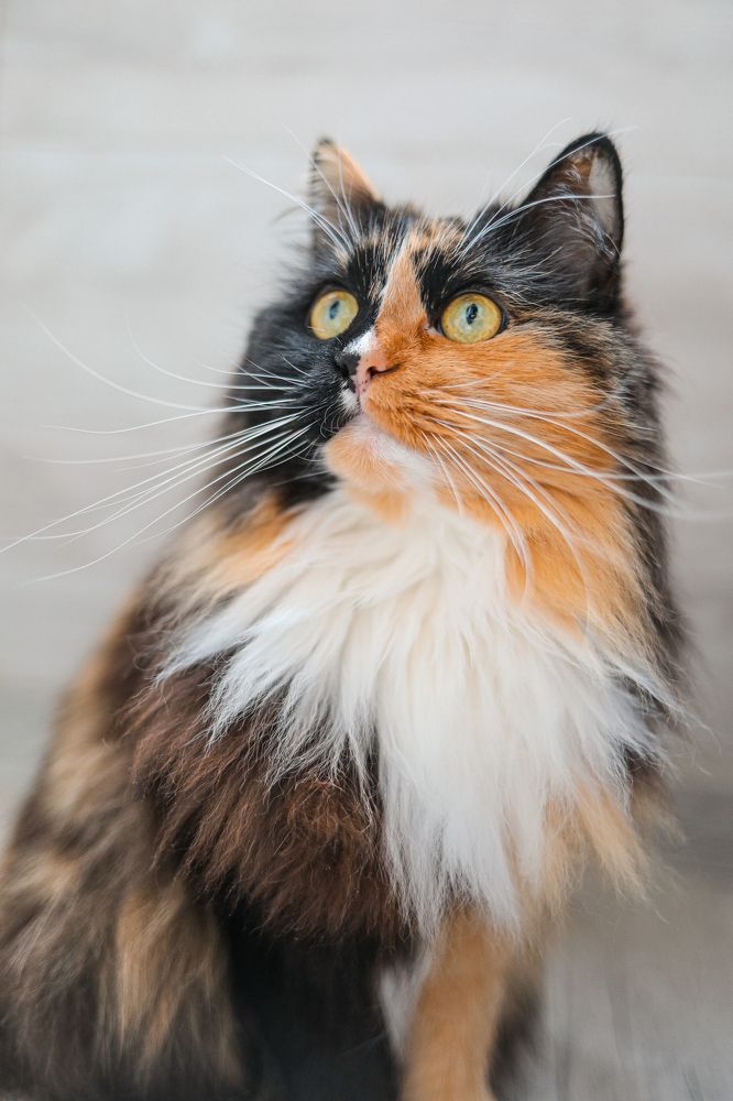 Photograph by Евгения Пугачева