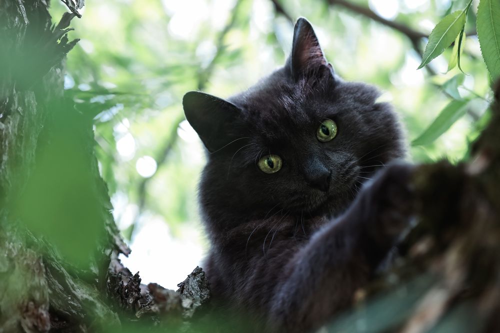 Photograph by Мария Ирешева