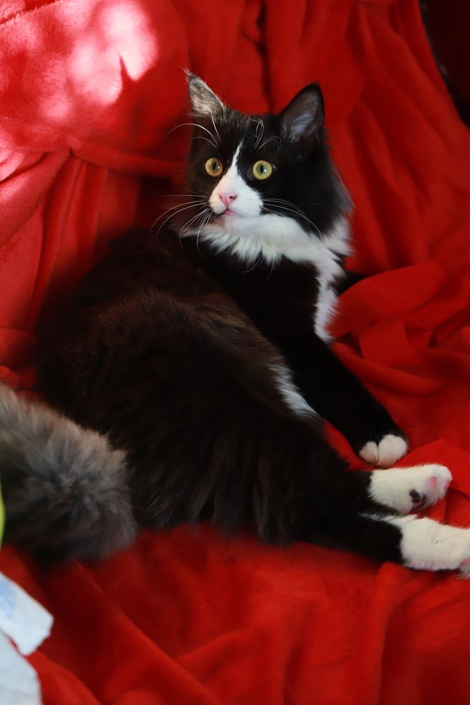 Photograph by Елена Сиднина