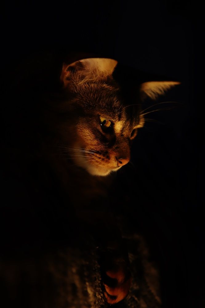 Фотография автора Валерия Витте