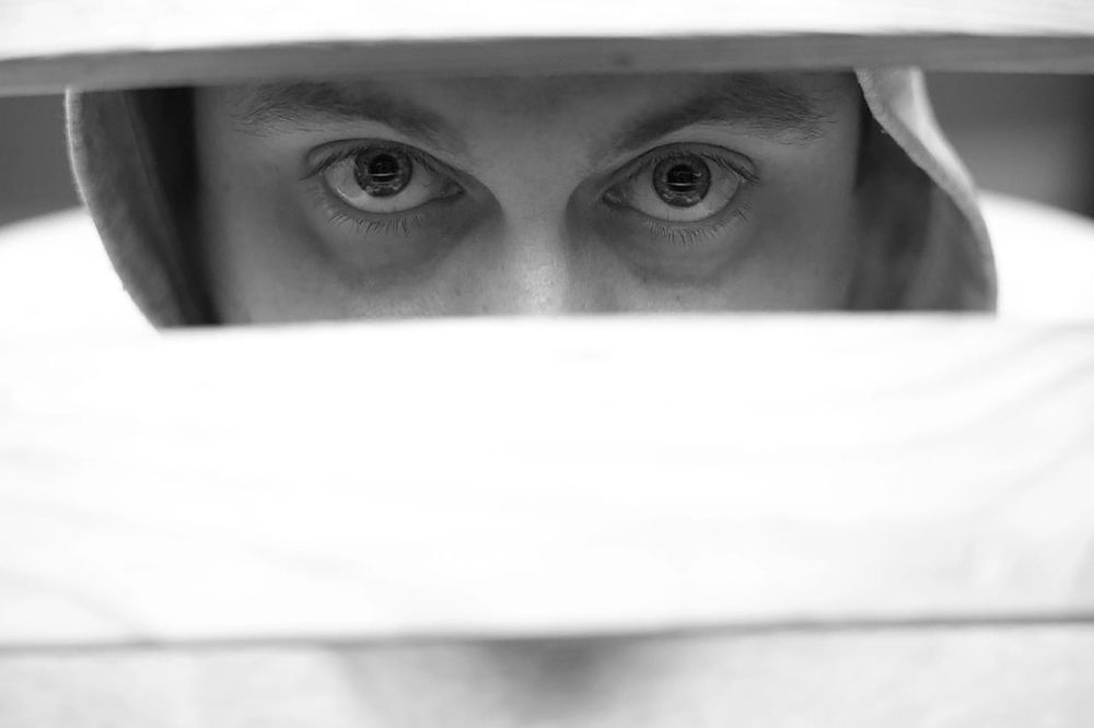 Photograph by Love Life