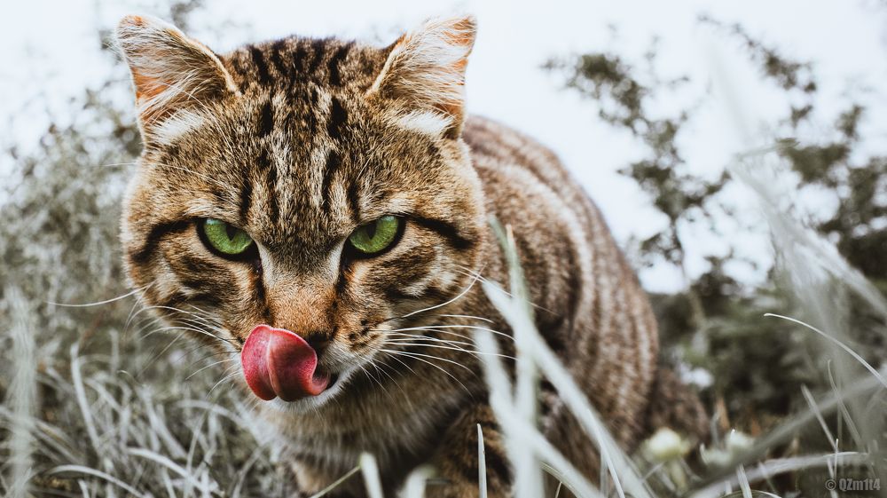 Photograph by Evgeniy Kuz’min