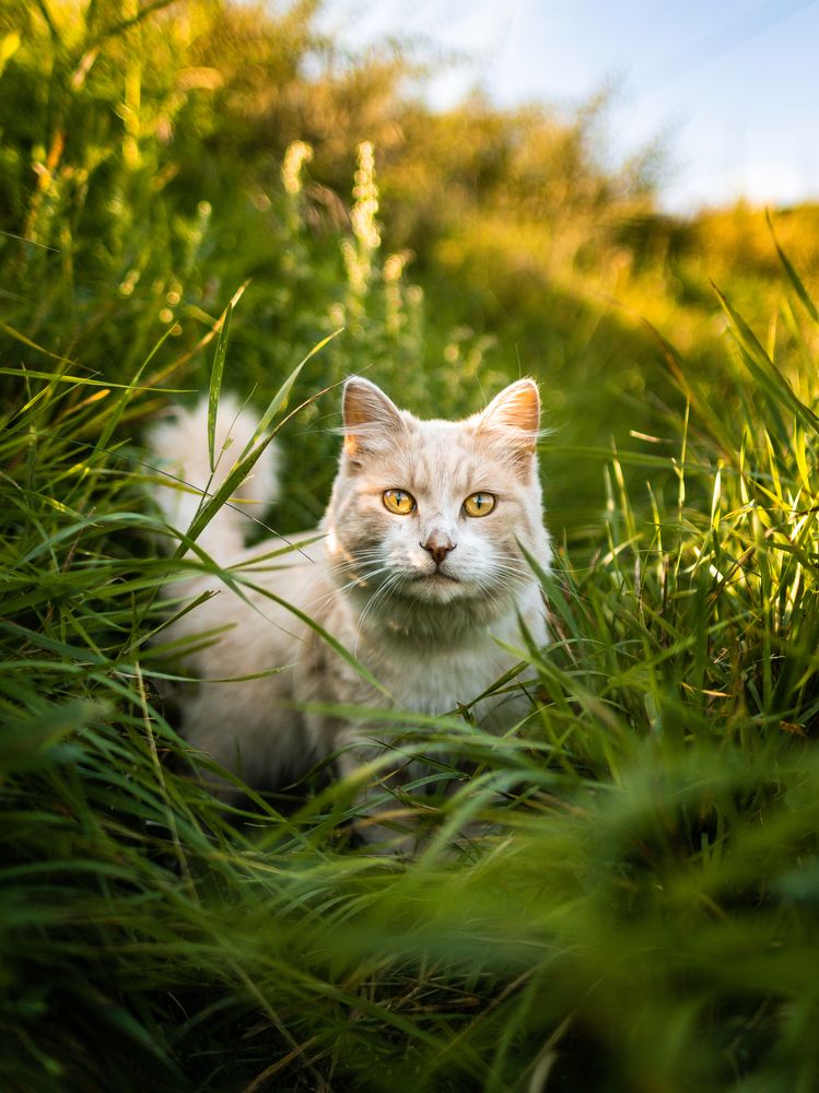 Photograph by Evgeniy Kuz’min