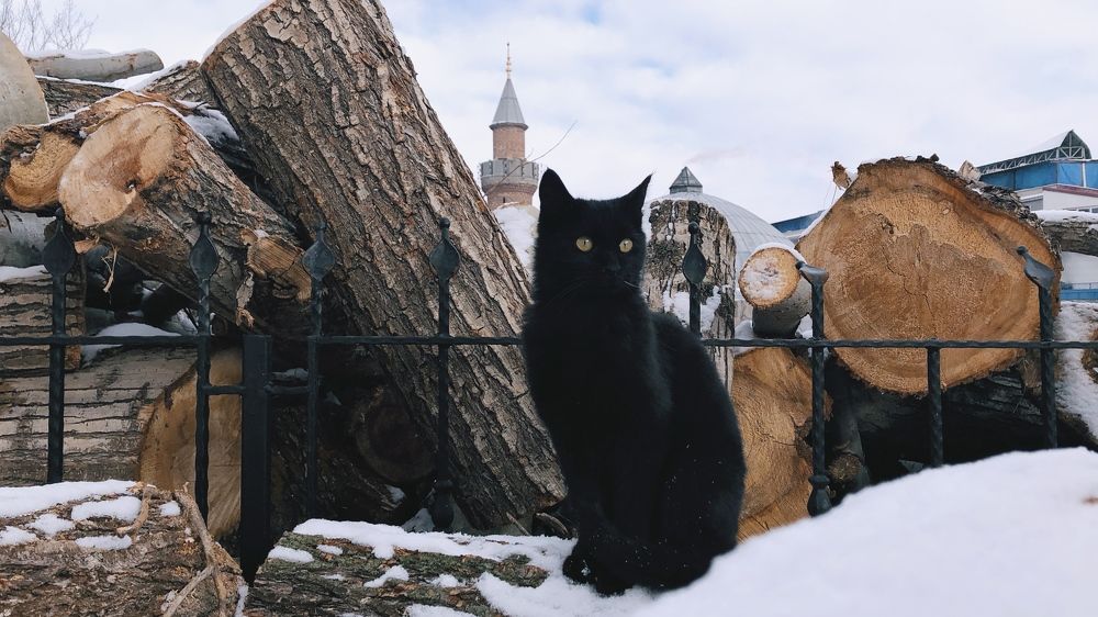 Photograph by Alex Belov