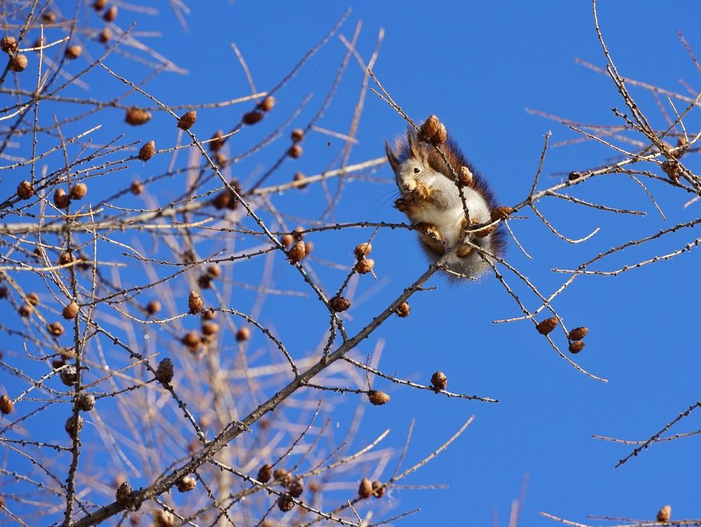 Photograph by Александр Клюев