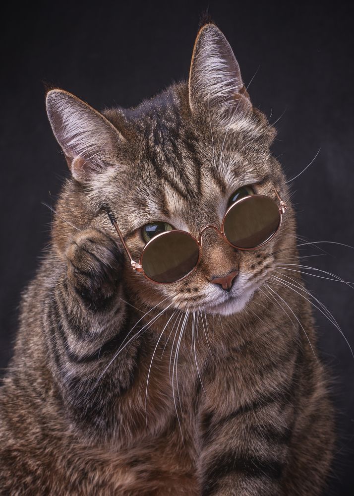 Photograph by Максим Вышарь