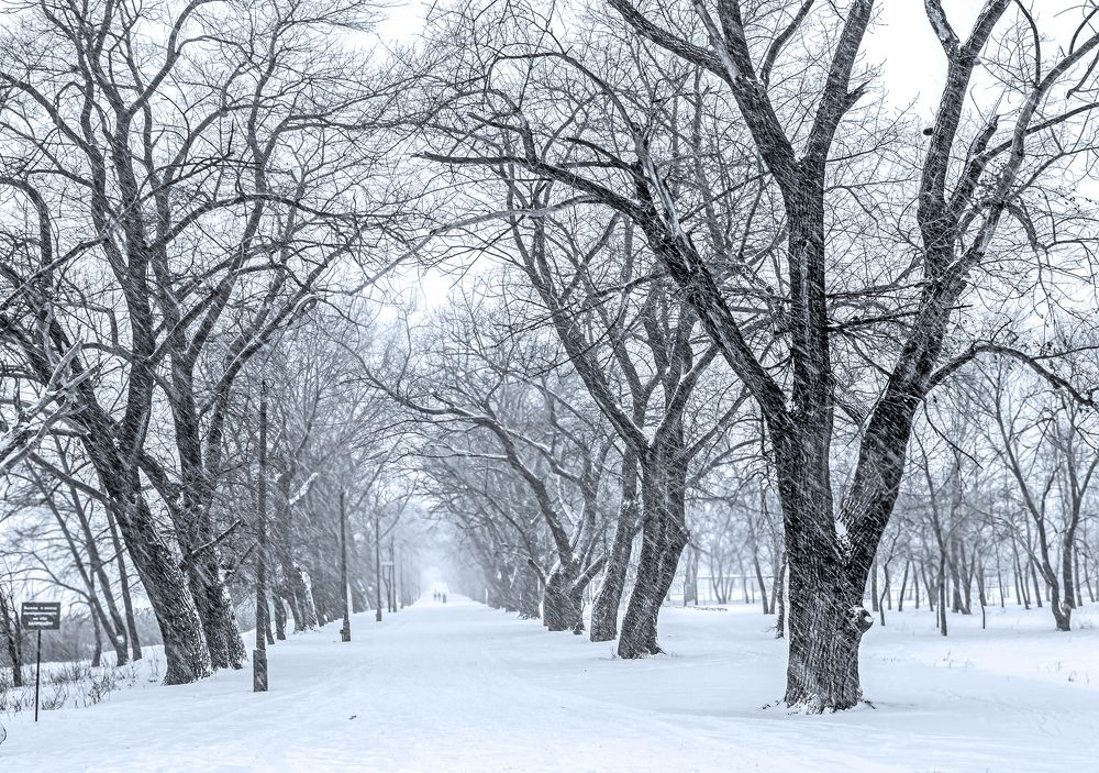 Photograph by Наталья Коньшина