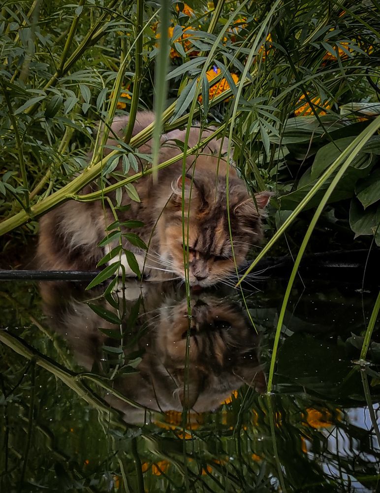 Photograph by Helen Ka