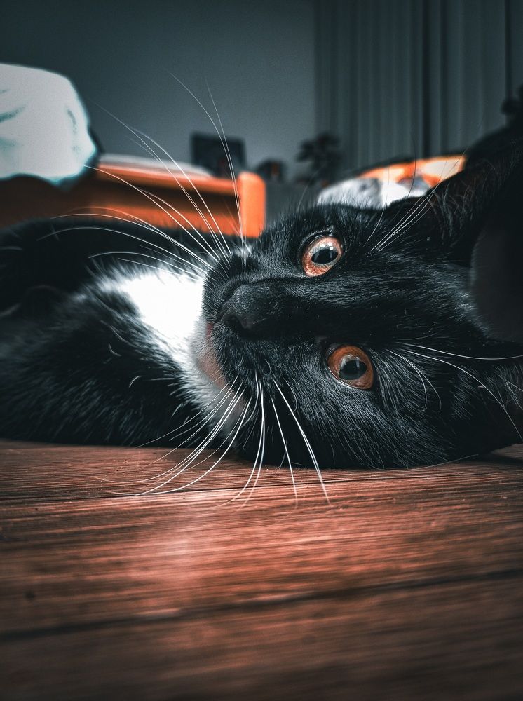 Фотография автора Валерия Правдюк