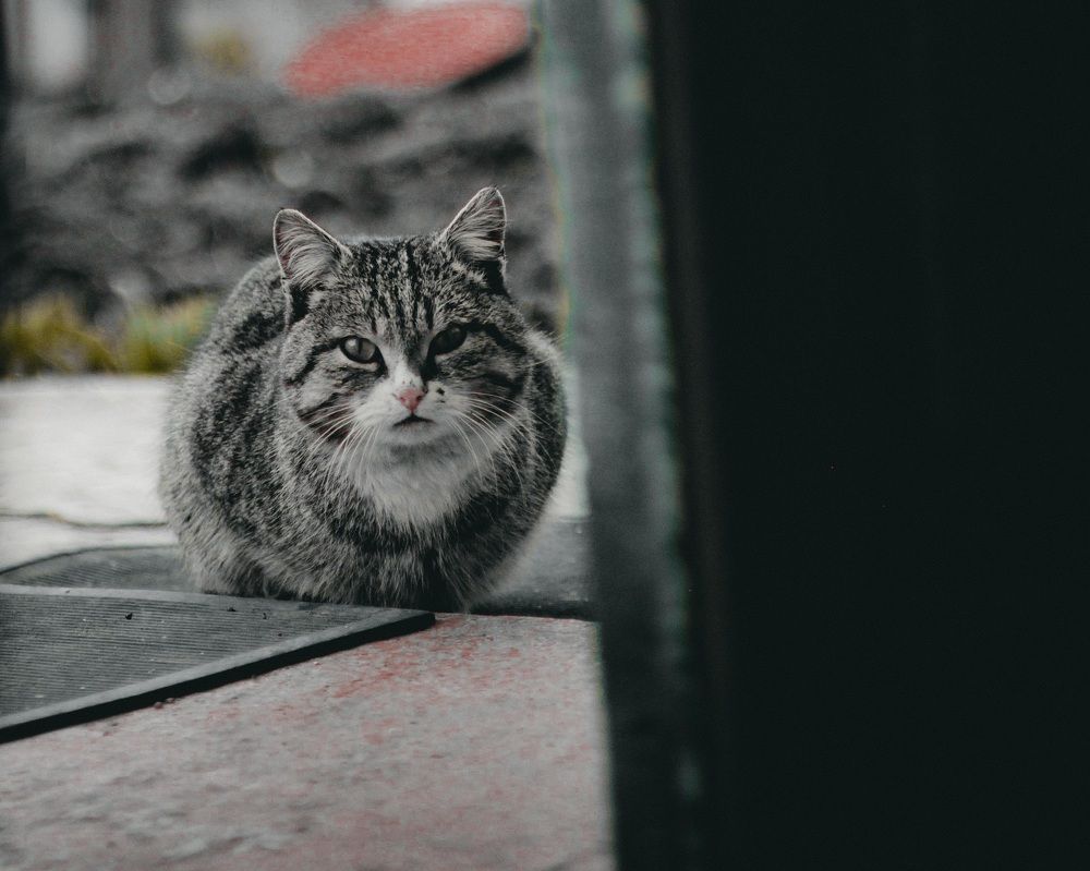 Фотография автора Валерия Правдюк