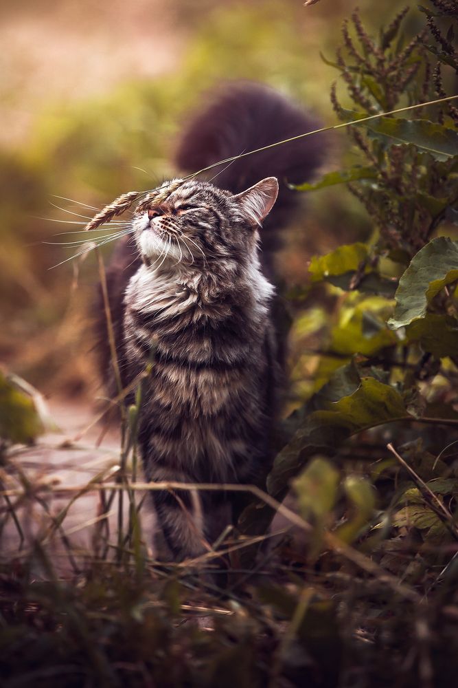 Photograph by Наталья Вистинь