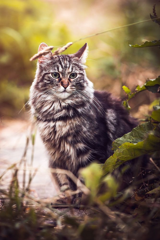 Photograph by Наталья Вистинь