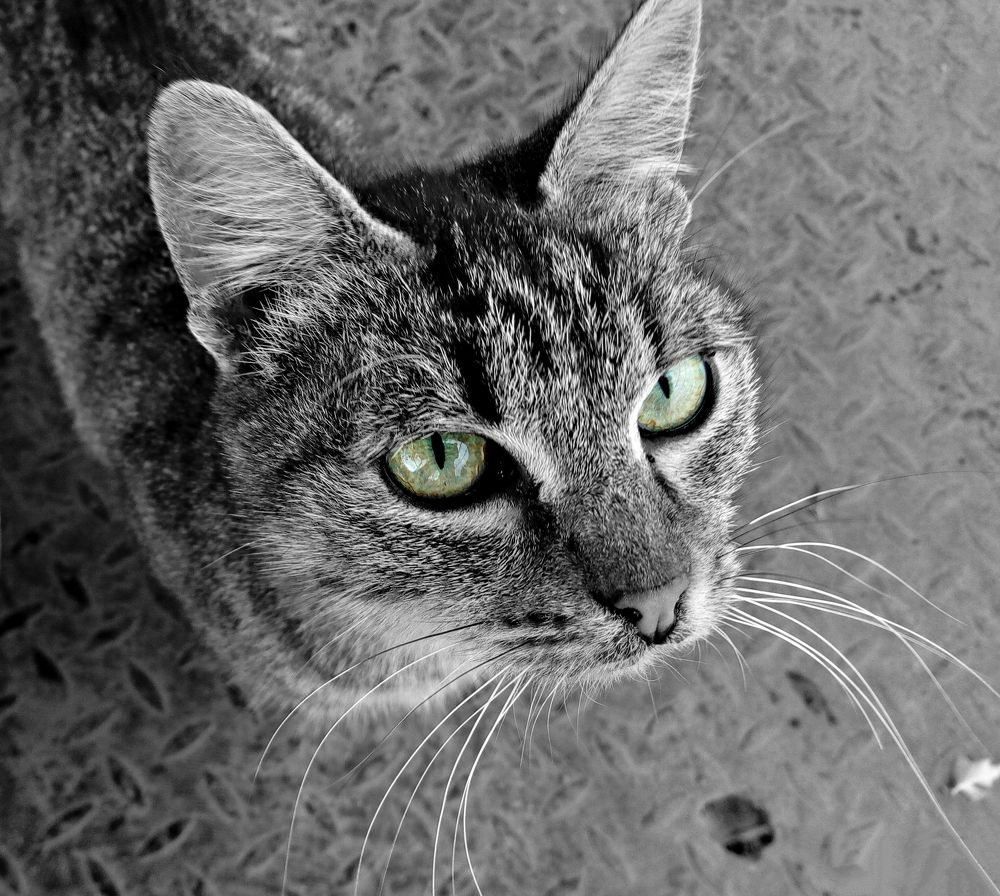 Photograph by Игорь Носков (Домненко)