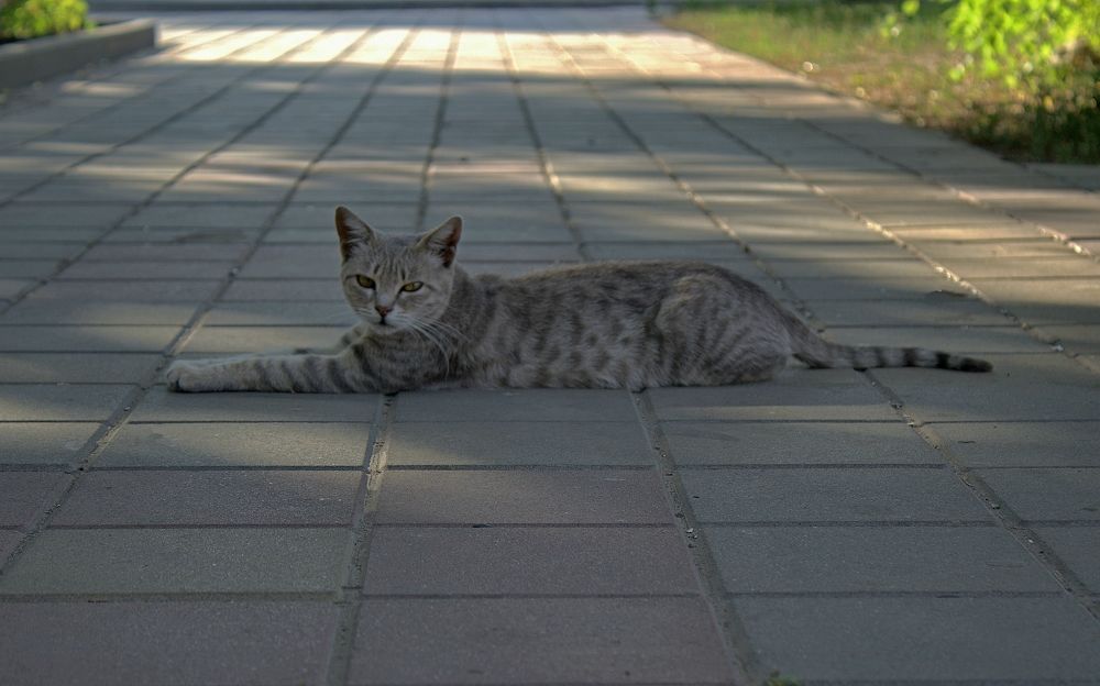 Photograph by Игорь Носков (Домненко)