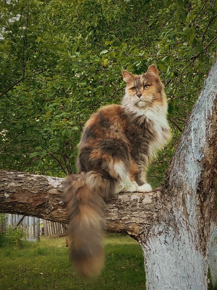 Photograph by Helen Ka